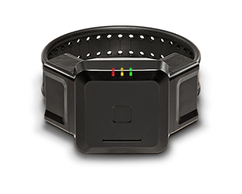 ИННОВАЦИОННЫЕ ПРОДУКТЫ